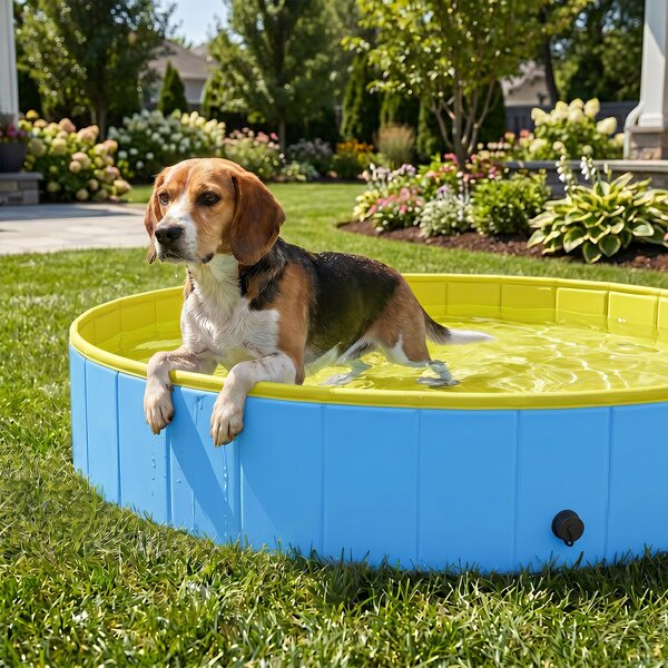 PawHut Piscina Pieghevole per Cani per Taglie Grandi e Medi, con Fondo Antiscivolo per Anatre, Interno ed Esterno, 120x30 cm, Blu e Giallo | Aosom Italy