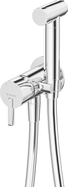 Concealed bidet mixer