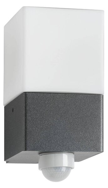 LCD Applique da esterno Linus, grafite, sensore, acciaio inox, vetro, E27 Linus, Nero, Acciaio Inox, Moderno
