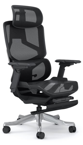 Sedia da ufficio ergonomica SkyLand | Sedia da scrivania con doppio supporto lombare e braccioli 6D | Sedia in rete inclinabile a 145 gradi | Sedia girevole per l'home office