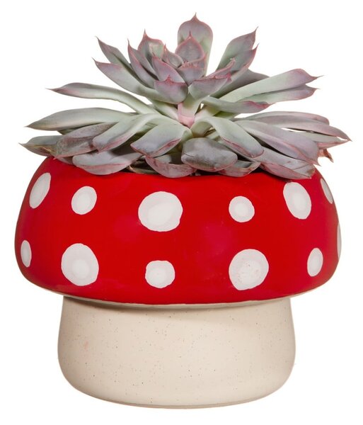 Coprivaso in gres ø 12 cm Mushroom - Sass & Belle
