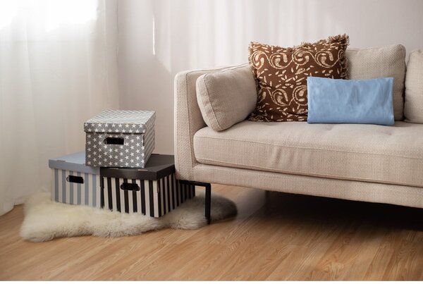 Scatole di cartone con coperchio in set da 2 pezzi Stripes - Compactor