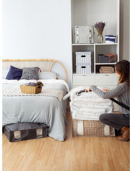 Scatole di cartone con coperchio in set da 2 pezzi Stripes - Compactor