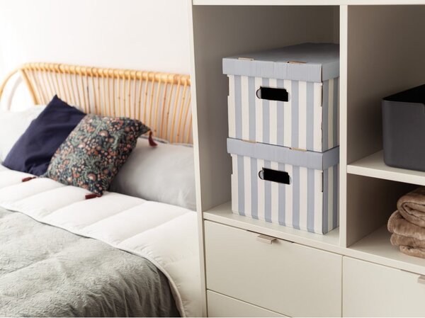 Scatole di cartone con coperchio in set da 2 pezzi Stripes - Compactor