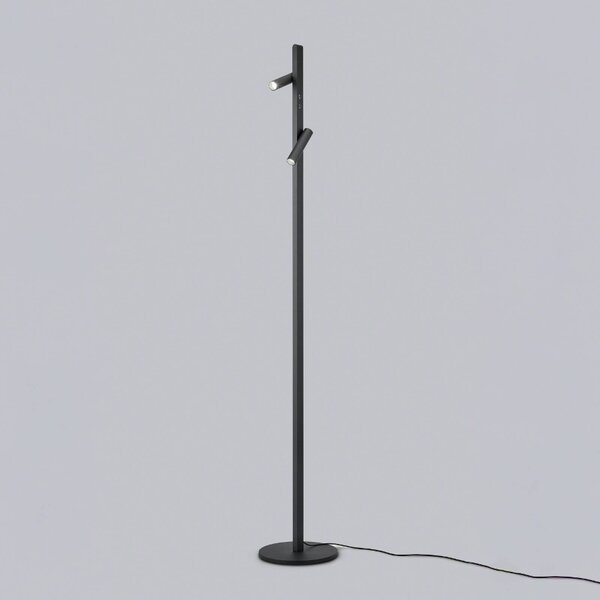 Helestra Coni piantana LED, 160 cm, nero