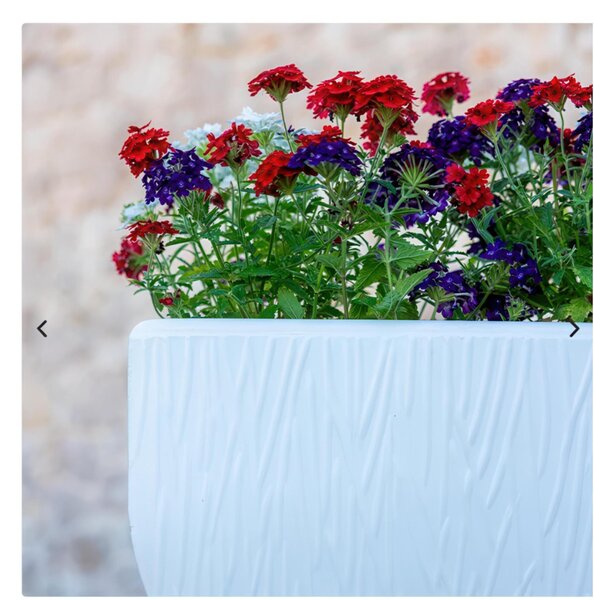 Vaso Porta vaso, h50 in polietilene Modello Mediterraneo Rustico Dimensioni 50x50xh 50 cm ideale x l'esterno si pu� piantumare direttamente al suo interno colore Viola