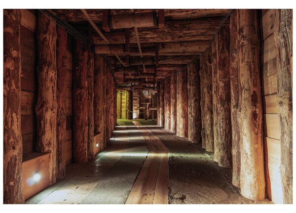 Carta da parati – Galleria di legno