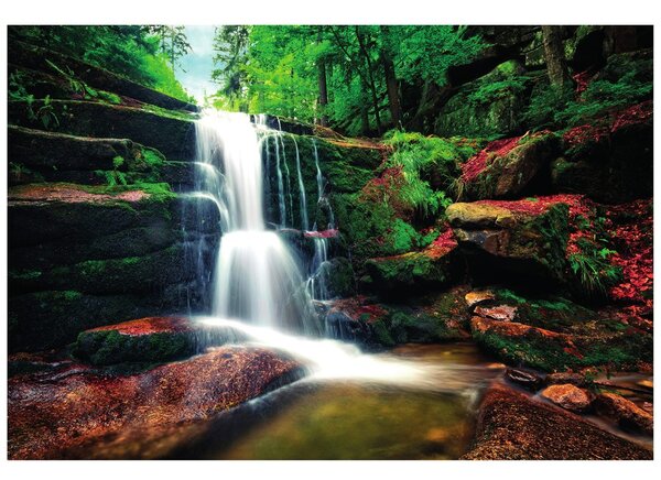 Carta da parati – Cascata nel bosco