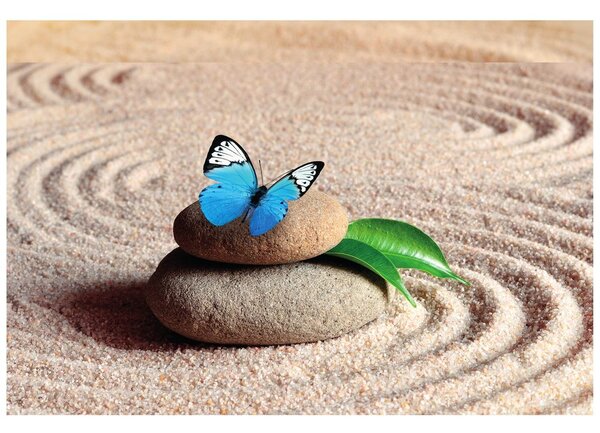Carta da parati – Farfalla blu su pietra Zen