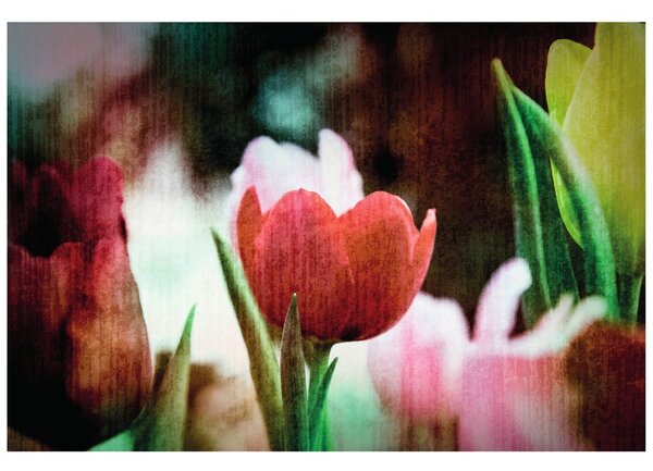 Carta da parati – Prato di tulipani in stile retrò