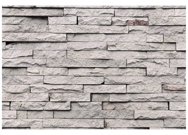 Carta da parati – Rivestimento in pietra elegante