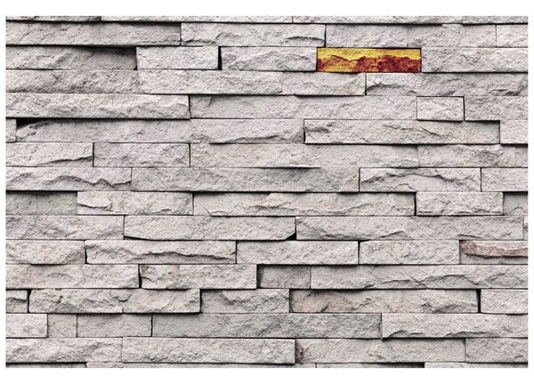 Carta da parati – Rivestimento in pietra stiloso