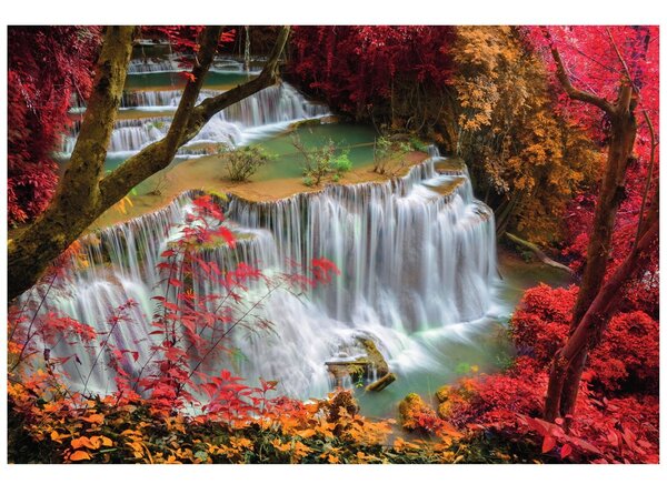 Fotomurale – Cascata nella foresta