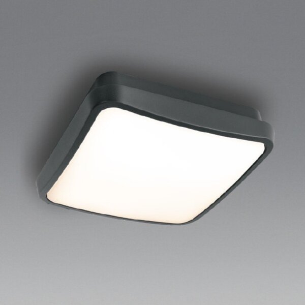Plafoniera moderna gea led gpl370 led ip65 alluminio policarbonato - Gea Led