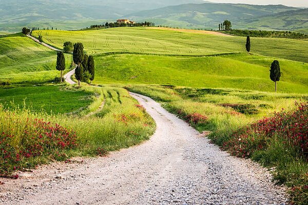 Fotografia Dirt road and green field in Tuscany, Shaiith