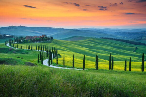 Fotografia Famous Tuscany landscape with curved road, Janoka82