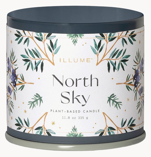 Candela profumata North Sky (agrumi, ribes, legno di ebano)