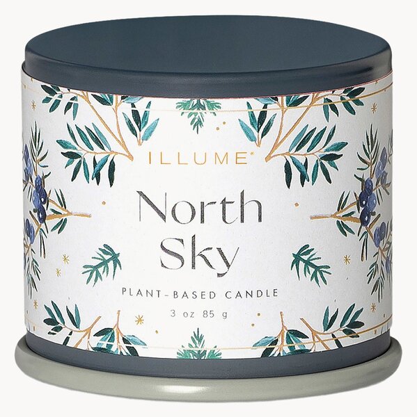 Candela profumata North Sky (agrumi, ribes, legno di ebano)