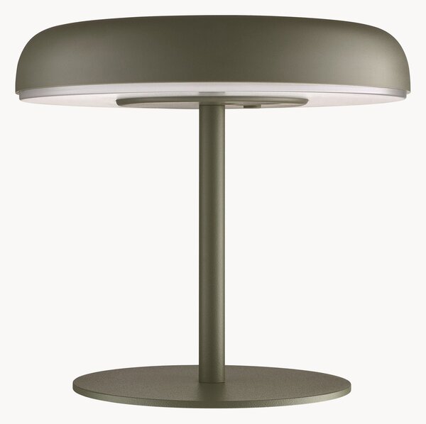 Luce solare a batteria Elmer, verde