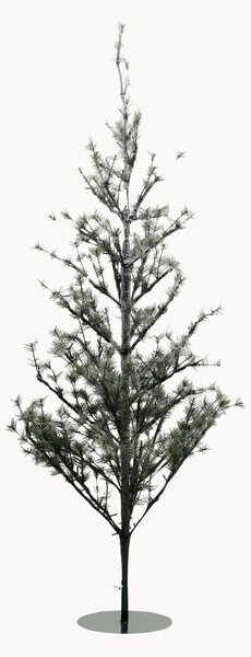 Albero di Natale a LED Pin, alt. 180 cm
