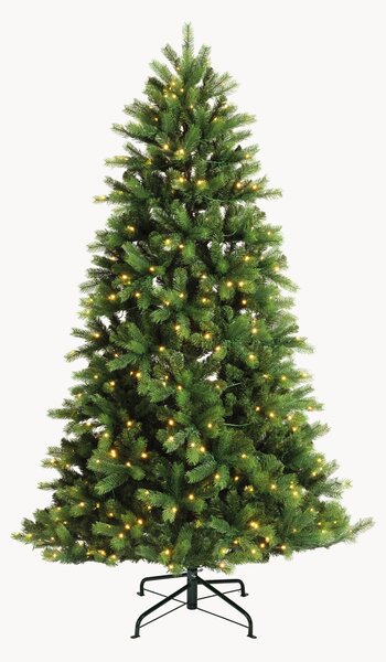 Albero di Natale a LED da esterno Tanne, varie misure