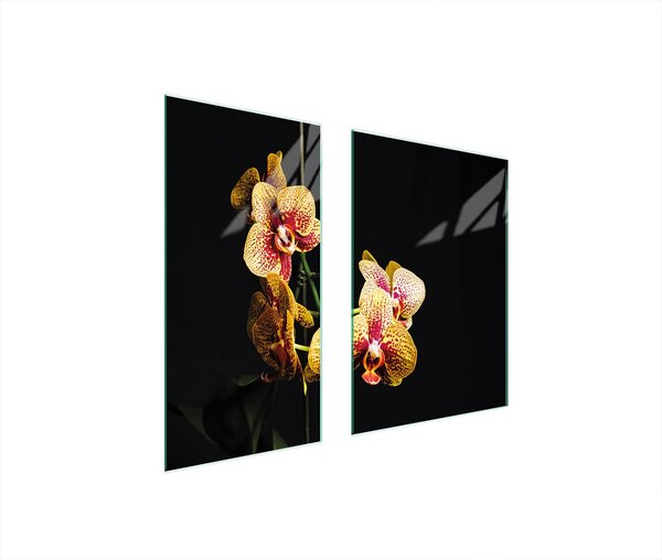 Piastre copri fornelli 2 pezzi 75x52 Copri piano cottura in Vetroceramica tagliere in vetro Orchid Black