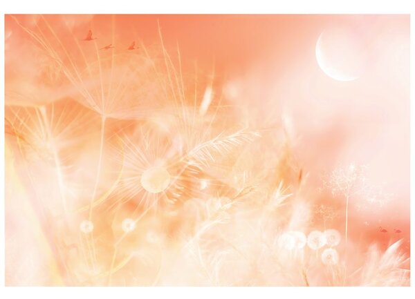 Carta da parati – Soffione al sorgere del sole Peach Fuzz