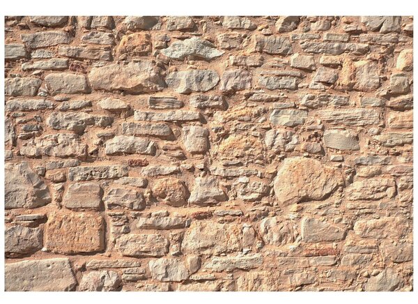 Fotomurale – Muro di pietra