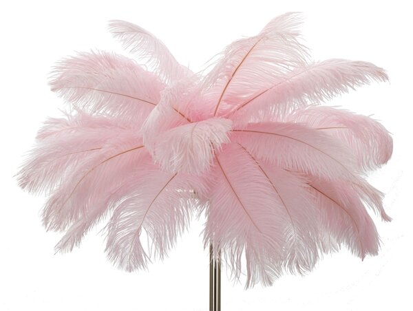 Lampada da Terra Palm Rosa Ø55x160 cm in Ferro e Plastica Rosa e Oro