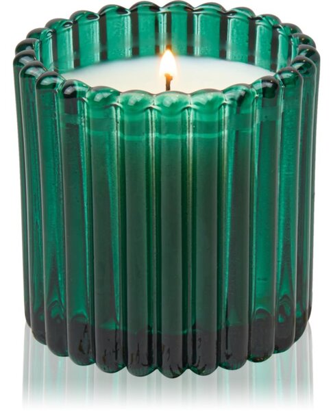 Paddywax 12 Days of Christmas Balsam & Fir candela profumata 127 g