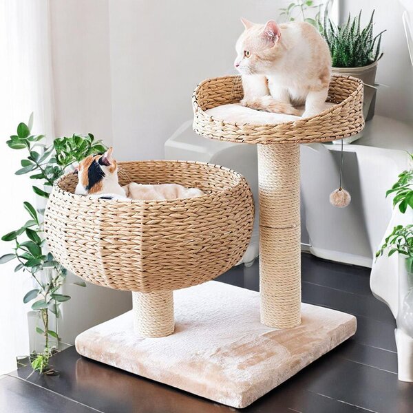Tiragraffi Banana Leaf con sisal naturale - albero da arrampicata per gatti, colonna in sisal con diametro di 8 cm, altezza 55 cm, beige
