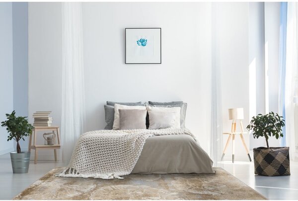 Tappeto beige 240x330 cm Avanti - FD