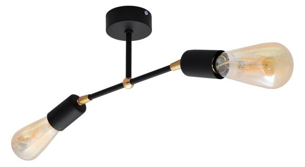 Lampadario a plafone ROSETTE 2xE27/15W/230V nero/dorato