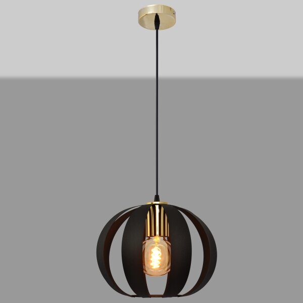 Lampadario a sospensione con filo NEWTON 1xE27/15W/230V nero/oro