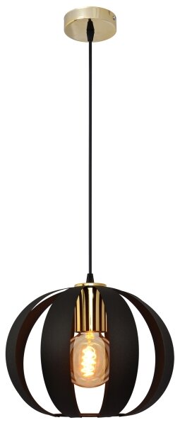 Lampadario a sospensione con filo NEWTON 1xE27/15W/230V nero/oro