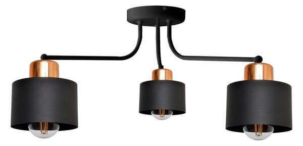Lampadario a plafone EDISON 3xE27/15W/230V