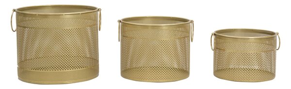 Porta Vasi Cage Tris Ø40x34-35x28-30x22 cm in Ferro Oro e Multicolor