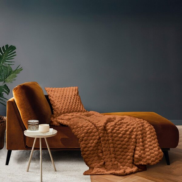 Coperta marrone chiaro in micropile 220x240 cm Frosty – douceur d'intérieur