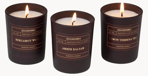 Set di 3 candele profumate Adamsbro (legno di bergamotto, ambra, verbena)