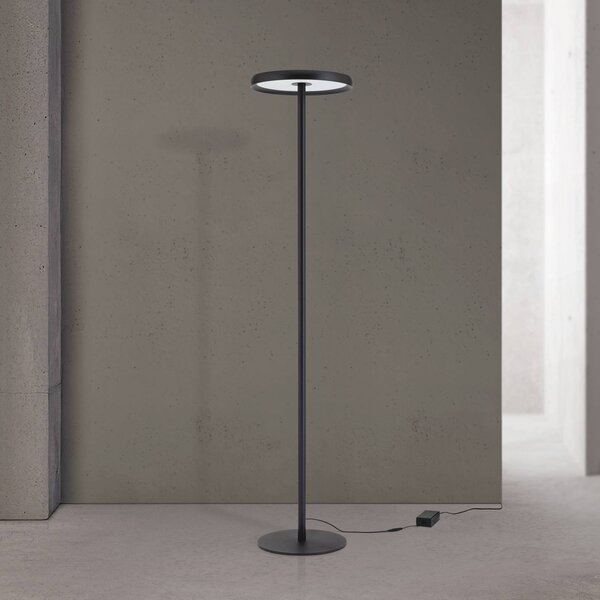 ORION Lampada da terra con luce lettura KANT, dimmerabile, Nero, Soggiorno / Sala da pranzo, Moderno, Lampada da terra