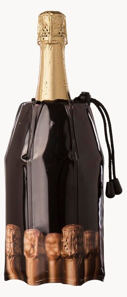 Raffredda bottiglie champagne Maroque