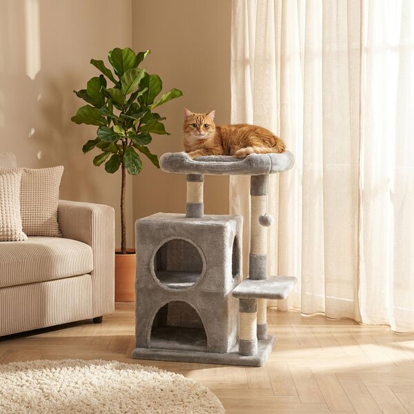 Tiragraffi belviona con 2 cucce e pallina, tiragraffi per gatti da 80 cm con sisal e superficie di riposo