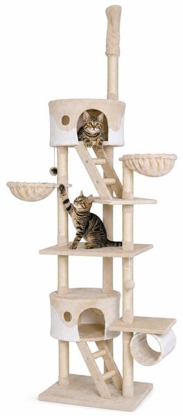 Tiragraffi lionto con tenditore a soffitto, torre attività grande 230-250 cm con 2 grotte, 2 mangiatoie, scale e palline, beige/bianco