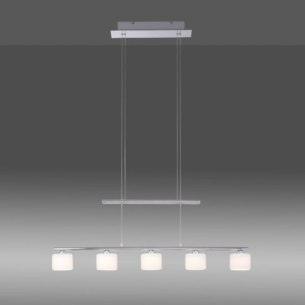 Paul Neuhaus Lampada LED a sospensione Hydra, colore acciaio, vetro, 80cm Hydra, Alluminio / Grigio / Zincato, Soggiorno / Sala da pranzo, Vetro, Moderno