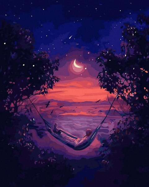 Dipingere con i numeri su tela nera - Notte... - Il tuo hobby